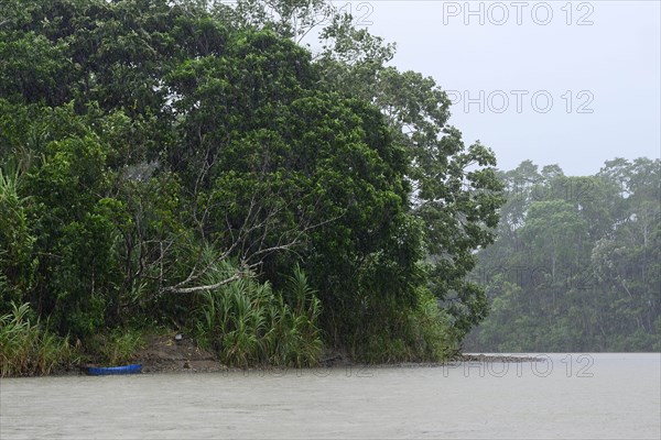 Rio Napo in pouring rain