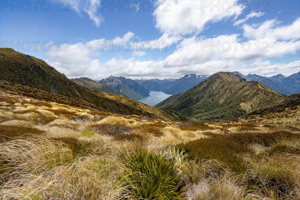 South Fiord of Lake Te Anau