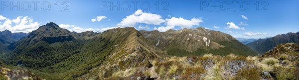 Kepler Track