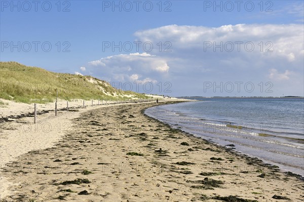 Shore of the Wadden Sea at Odde