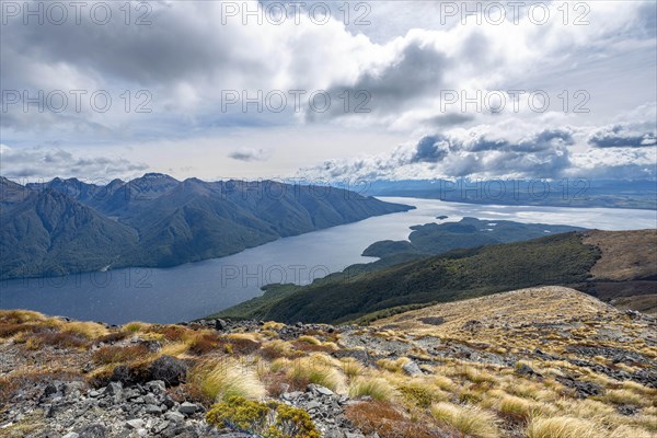 View of the South Fiord of Lake Te Anau