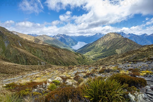 South Fiord of Lake Te Anau