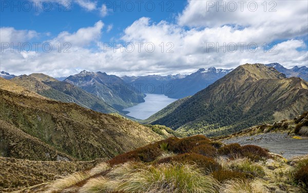 South Fiord of Lake Te Anau