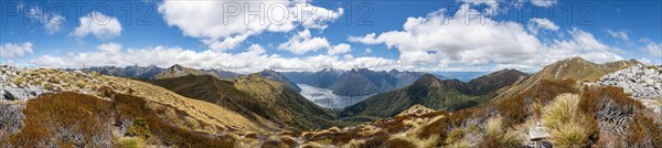 Kepler Track