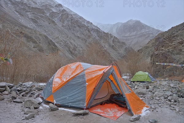 High altitude trekking camp in Hemis national park