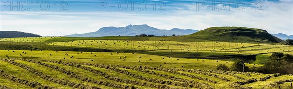 Harvested meadows with hay bales