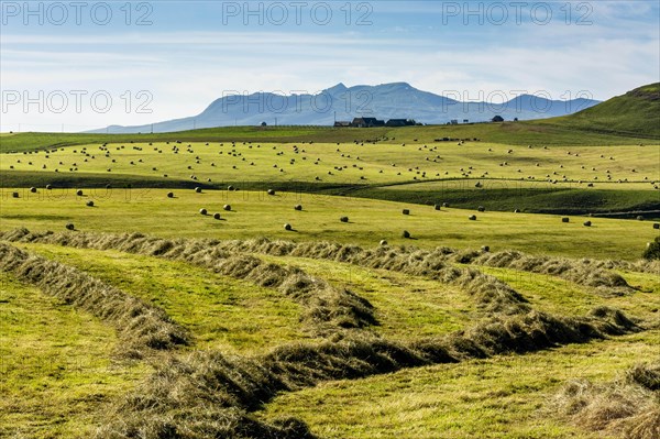 Harvested meadows with hay bales