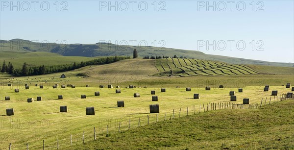 Harvested meadows with hay bales