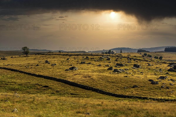 Aubrac plateau