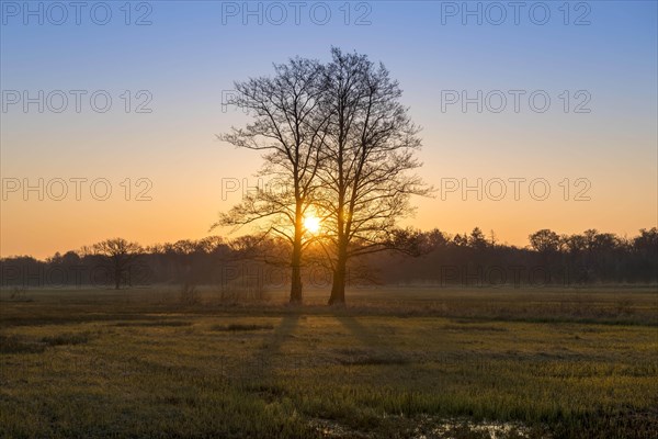 Sunrise in the Moenchbruch Nature Reserve