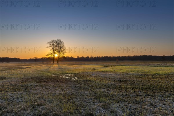 Sunrise in the Moenchbruch Nature Reserve