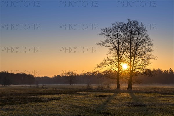 Sunrise in the Moenchbruch Nature Reserve