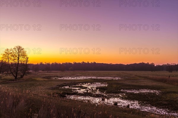 Sunrise in the Moenchbruch Nature Reserve