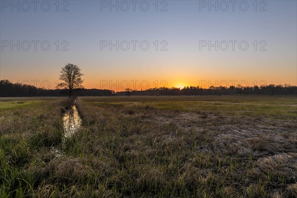 Sunrise in the Moenchbruch Nature Reserve