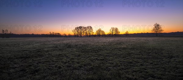 Sunrise in the Moenchbruch Nature Reserve