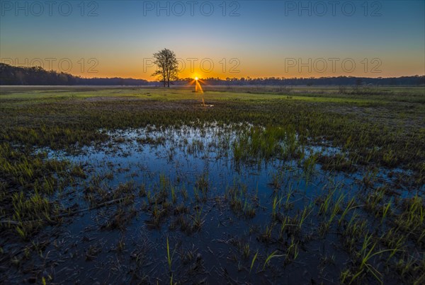 Sunrise in the Moenchbruch Nature Reserve