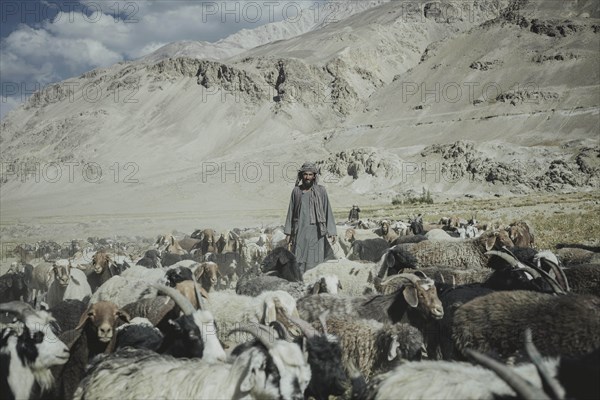 Man standing in the middle of a flock of sheep