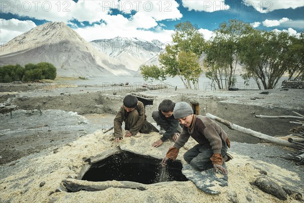 Three boys shovel wheat grains through the opening from above into a granary