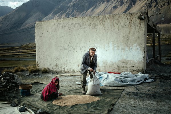 Man and woman filling threshed wheat into bags