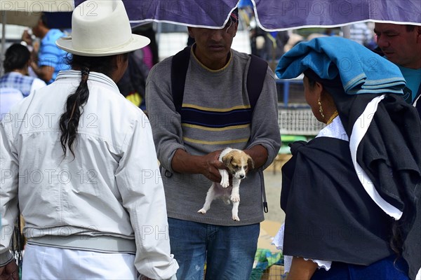 Sale of a dog puppy at the weekly cattle market