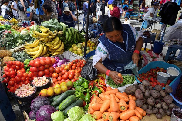 Colorful vegetables and fruits at the market