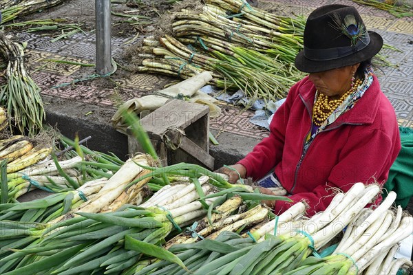 Leek stand at the market