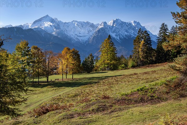 Autumn landscape on the Kramerplateauweg with the Zugspitze group