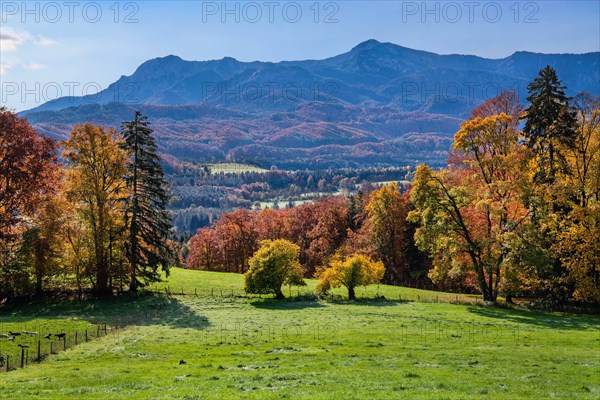 Autumn landscape near Guglhoer with Herzogstand and Heimgarten