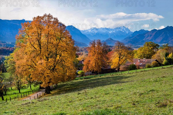 Autumn landscape above the Murnauer moss with Zugspitze group near Hagen