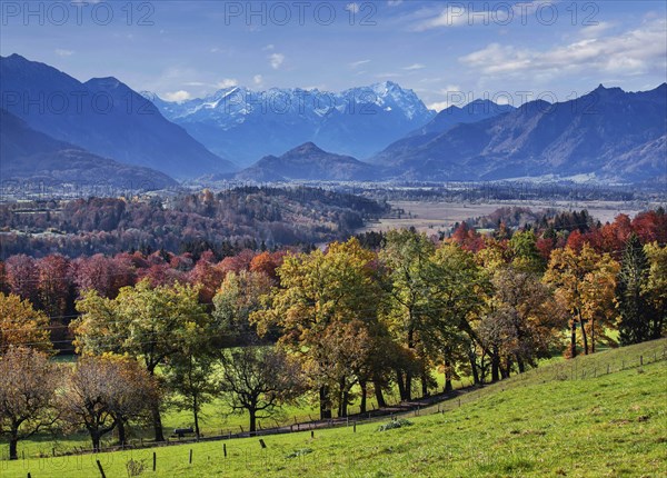 Autumn landscape above the Murnauer moss with Zugspitze group near Hagen