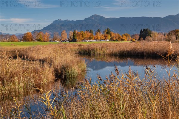 Autumn landscape on the river Ach with Herzogstand and Heimgarten