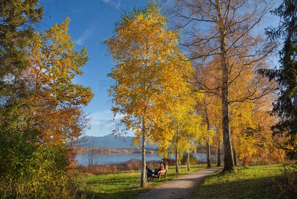 Hiking trail at Staffelsee