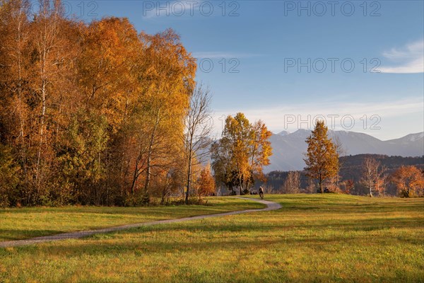 Autumn landscape at Staffelsee