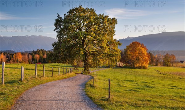 Autumn landscape with hiking trail at Staffelsee