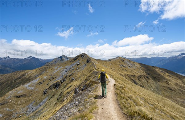 Hiker on Kepler Track