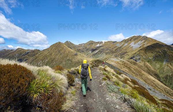 Hiker on Kepler Track