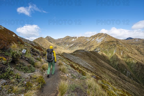 Hiker on Kepler Track