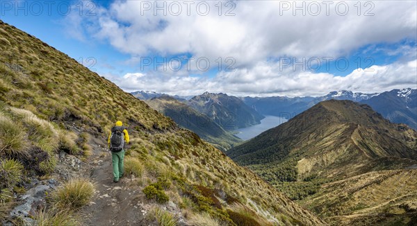 Hiker on Kepler Track