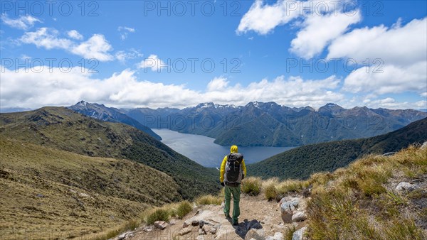 Hiker on Kepler Track