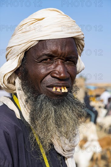 Tuareg at the animal market