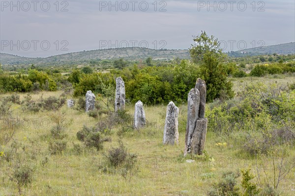 Menhirs de la Rigalderie