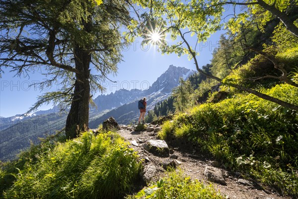 Hiker on trail through the forest to La Jonction