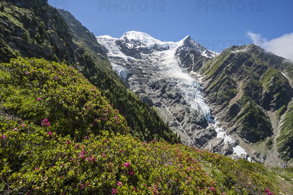 Mountain landscape