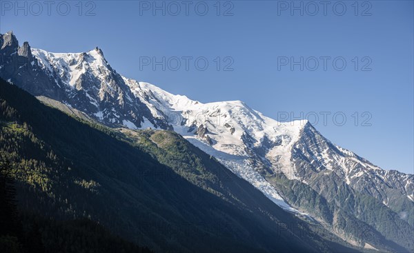 Glacier tongue on the mountain slope