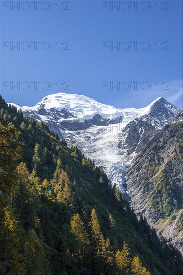 Glacier tongue on the mountain slope