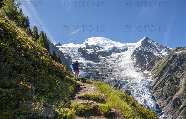 Hiker on hiking trail