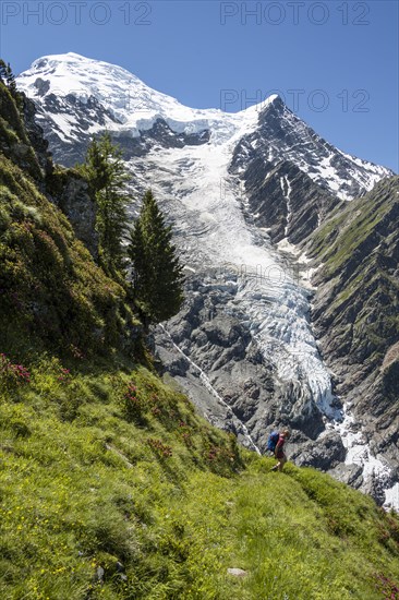 Hiker in front of glacier