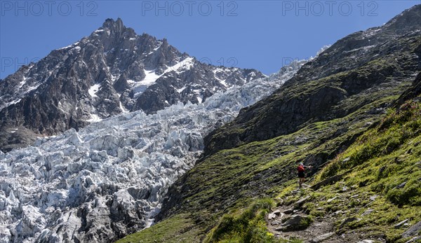 Hiker on hiking trail