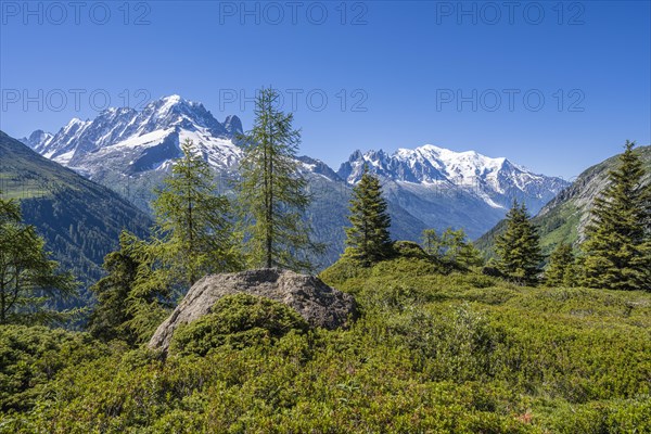 Mountain panorama from Aiguillette des Posettes