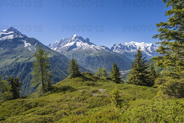 Mountain panorama from Aiguillette des Posettes